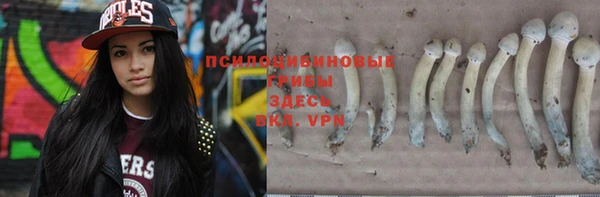 гидропоника Вязьма