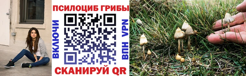 ОМГ ОМГ как войти  площадка наркотические препараты  Галлюциногенные грибы Psilocybe  даркнет сайт  Пугачёв 