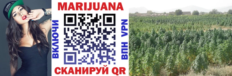 Канабис SATIVA & INDICA  Пугачёв 